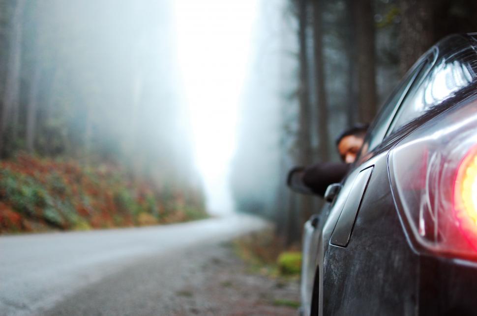 Free Image of Car Parked Along Road Near Forest 