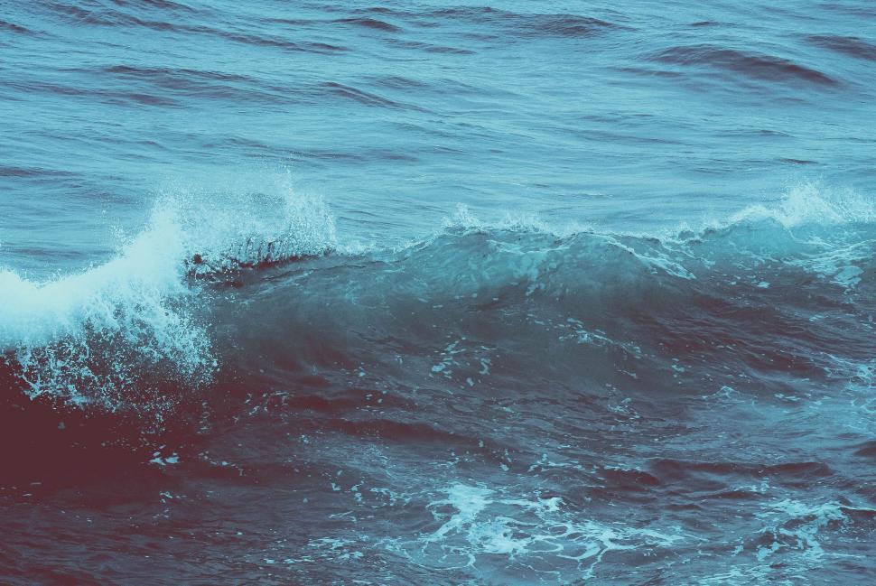 Free Image of Man Riding Wave on Surfboard 