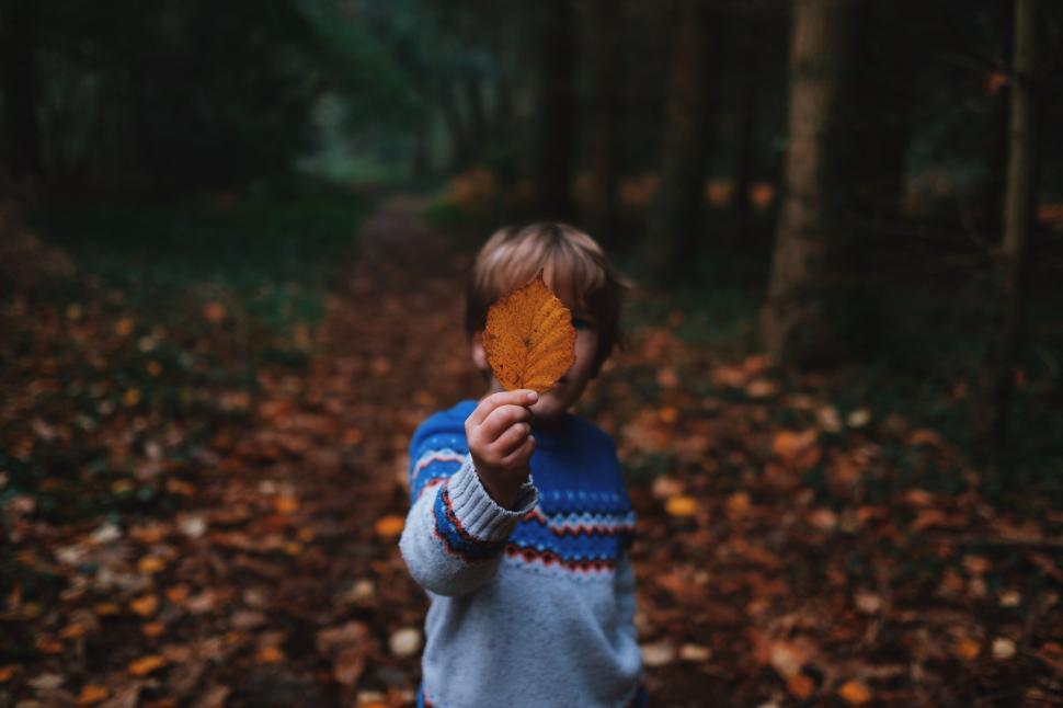 Free Image of Young Boy Holding Leaf in Forest 