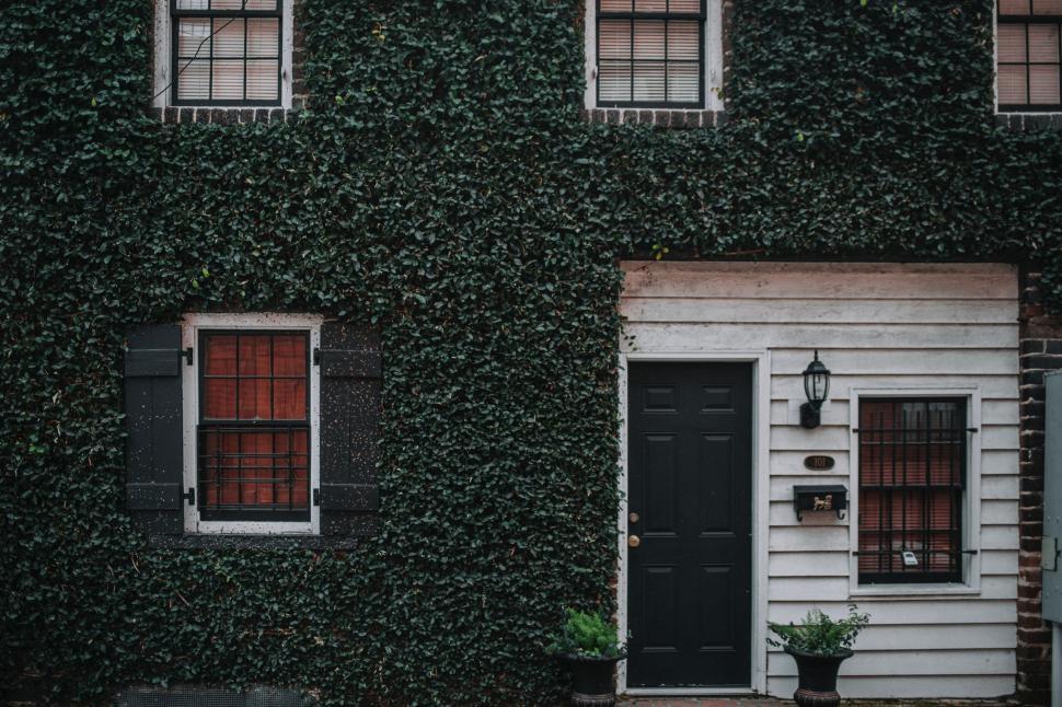 Free Image of Black and White House Covered in Ivy 