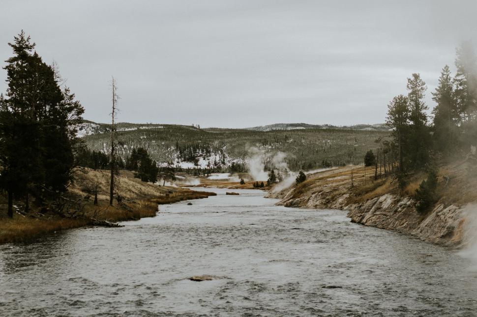 Free Image of River Flowing Through Dense Forest 