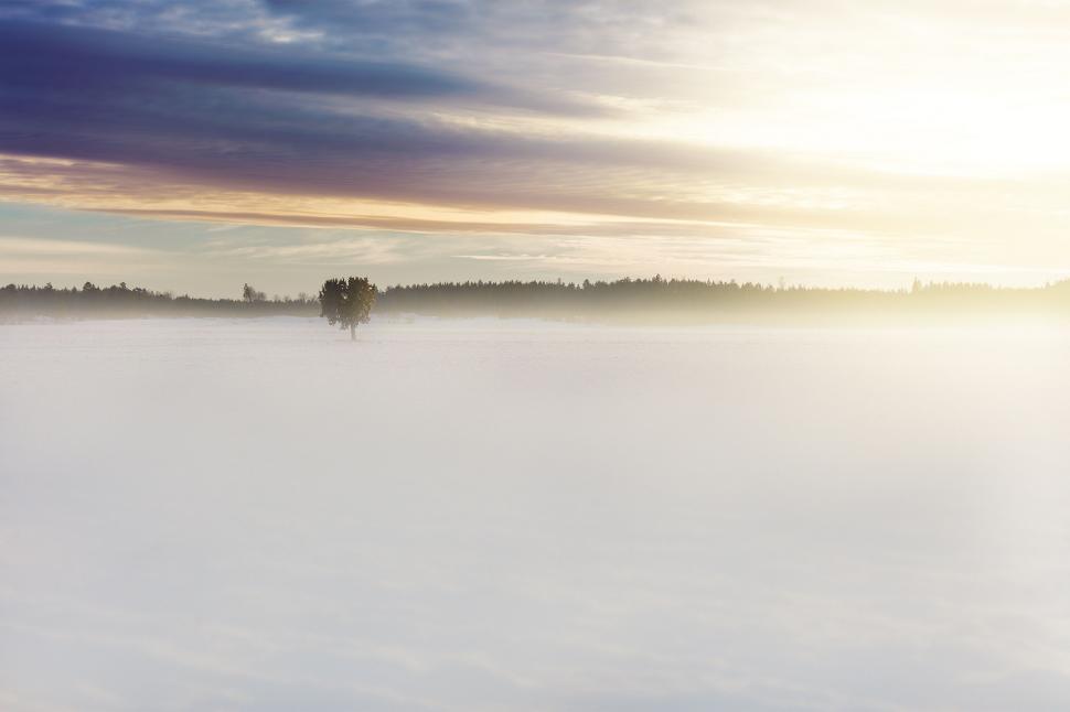 Free Image of Person Skiing on Snowy Surface 
