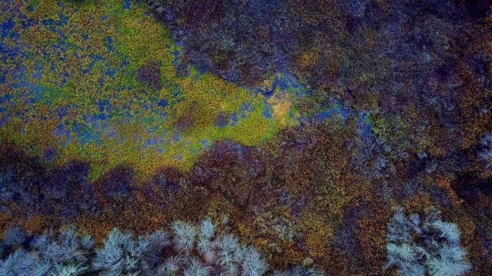 Free Image of Aerial View of Blue and Green Grass Patch 
