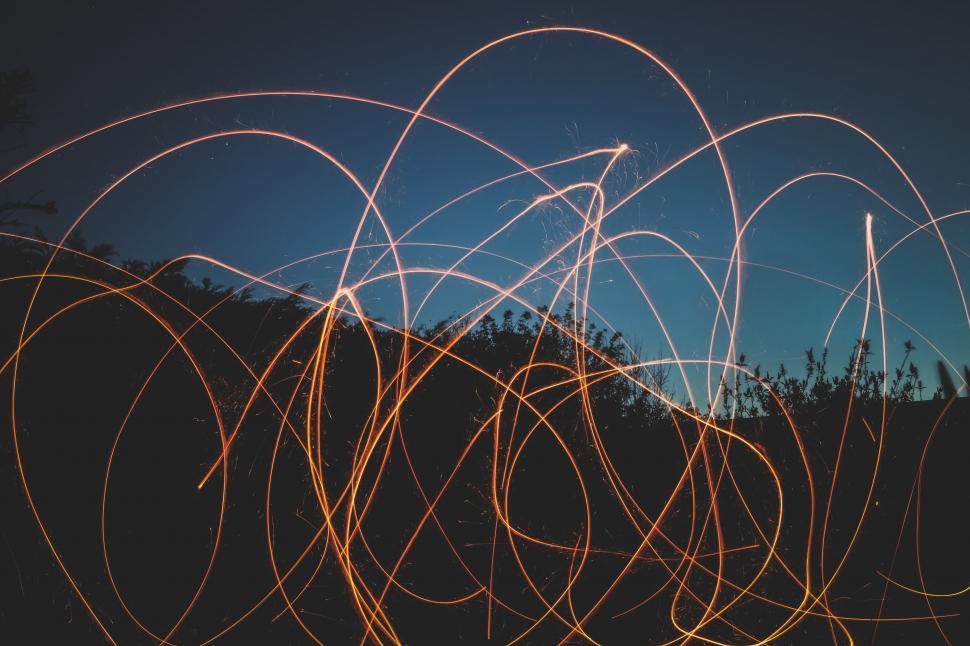 Free Image of Blurry Forest Night Scene 