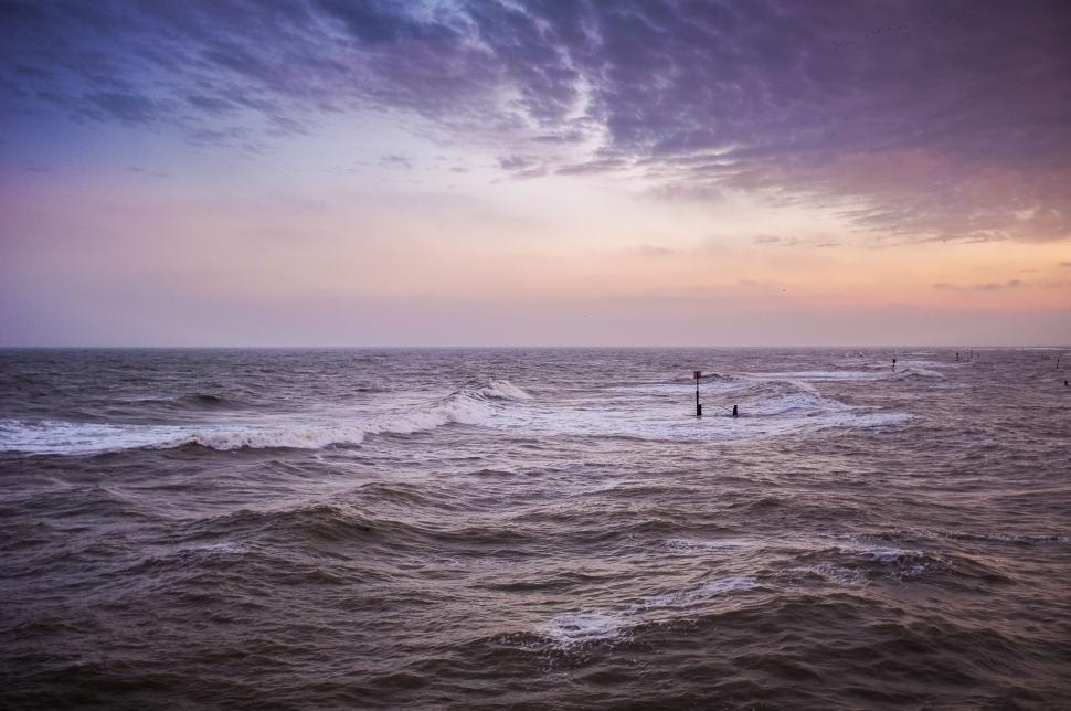 Free Image of Surfers Riding Waves in the Ocean 