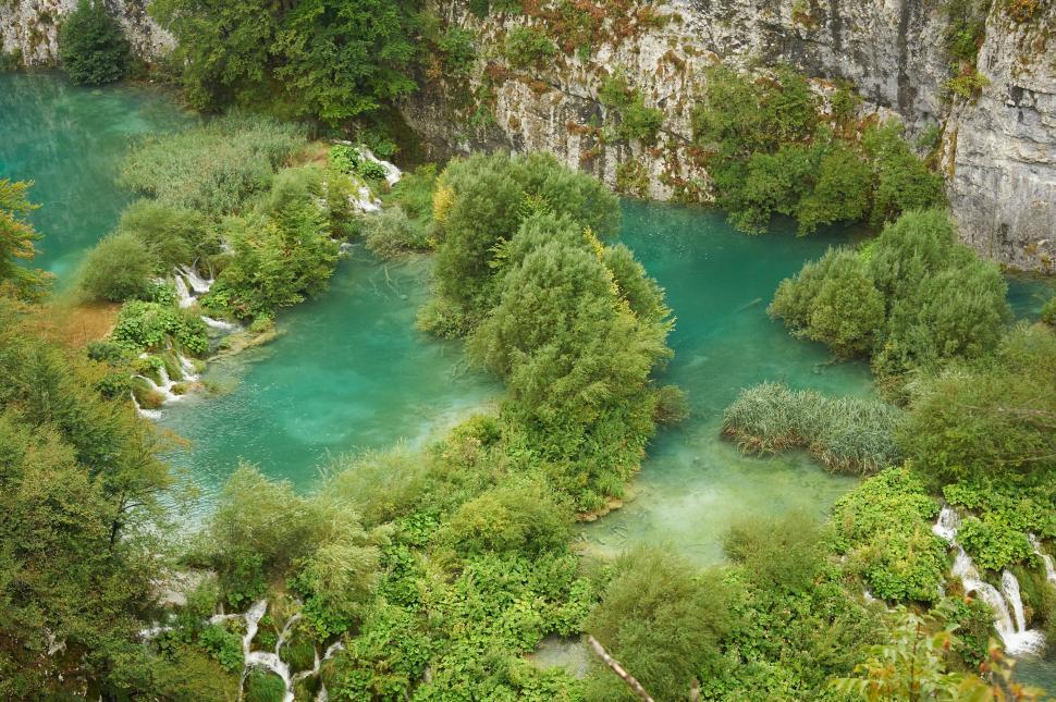 Free Image of Aerial View of River Surrounded by Trees 