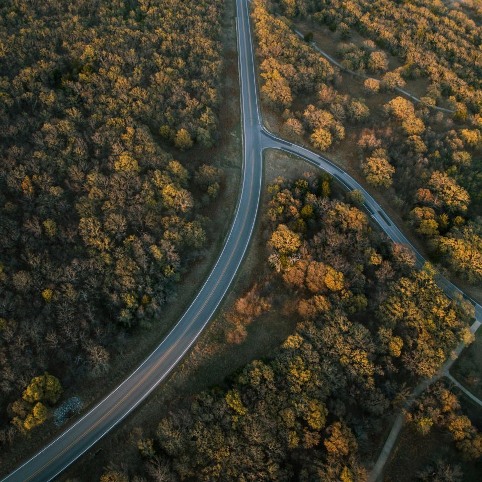 Free Image of Aerial View of Road Surrounded by Trees 