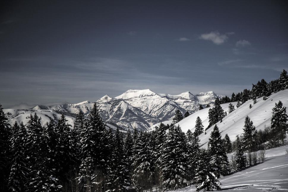 Free Image of Snow Covered Mountain in Black and White 