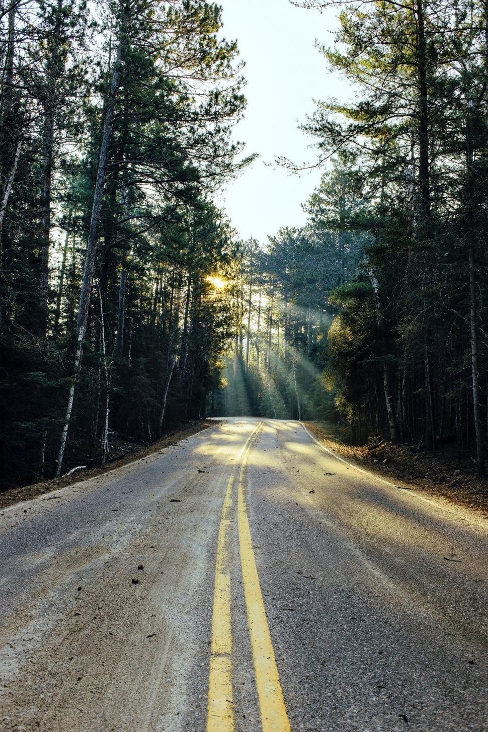 Free Image of Road With Yellow Line 