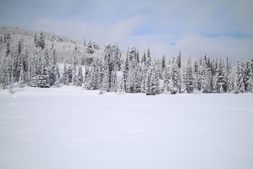 Free Image of Person Riding Skis on Snowy Surface 