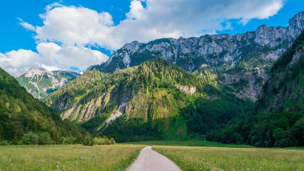 Free Image of Road Through Field With Mountains in Background 