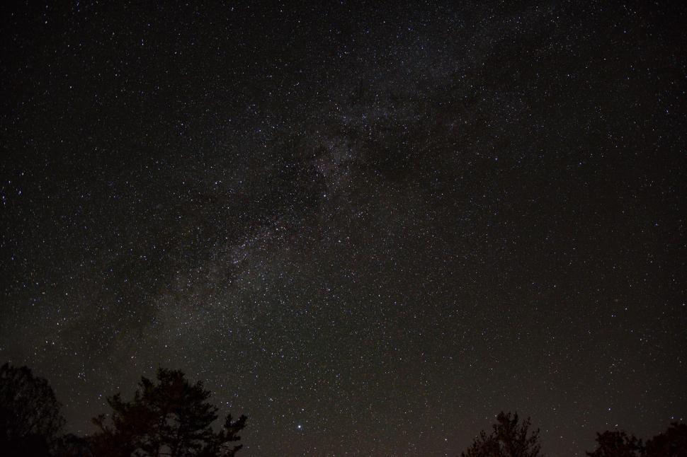 Free Image of Starry Night Sky Over Forest 