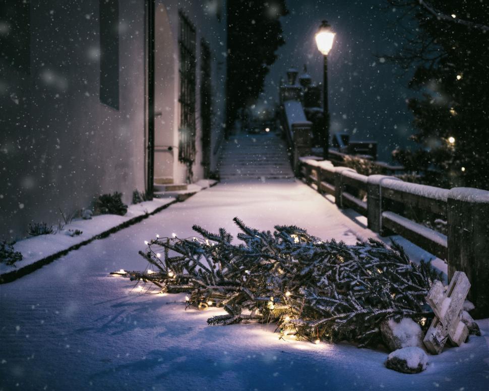 Free Image of Pile of Branches on Snow Covered Ground 