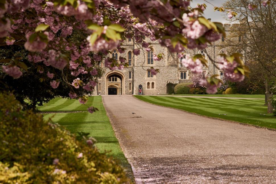 Free Image of Large Building With Driveway and Trees 