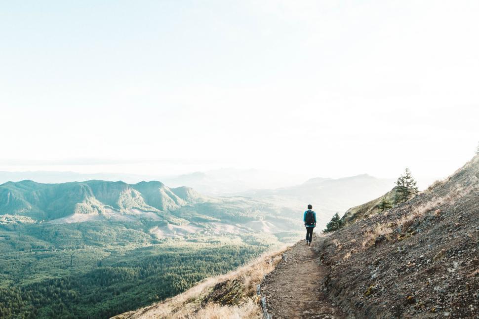 Free Image of Man Standing on Mountain by Forest 