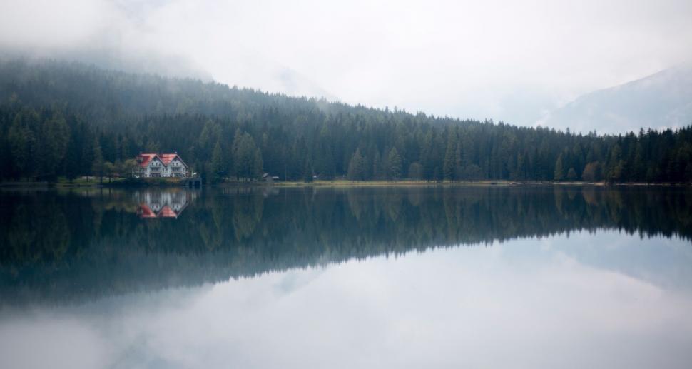 Free Image of Large Body of Water Surrounded by Forest 