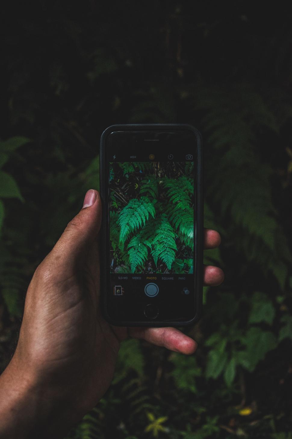 Free Image of Person Holding Cell Phone in Hand 
