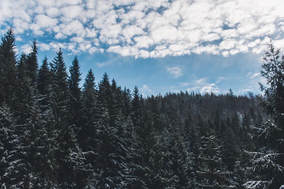 Free Image of Snowboarder Descending Snowy Hill 