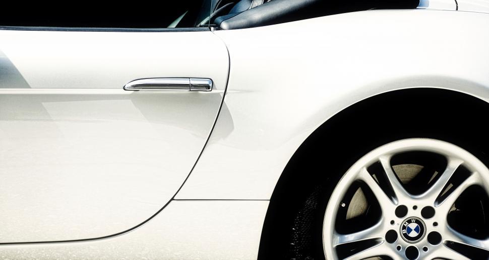 Free Image of Cat Sitting in the Drivers Seat of a Car 