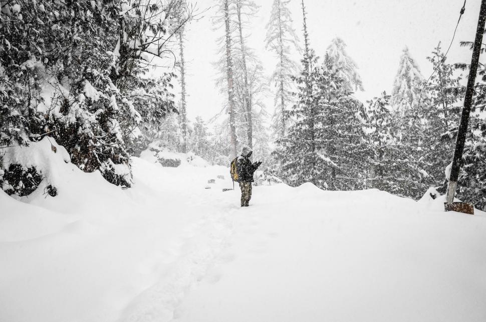 Free Image of Person Walking Through a Snow Covered Forest 