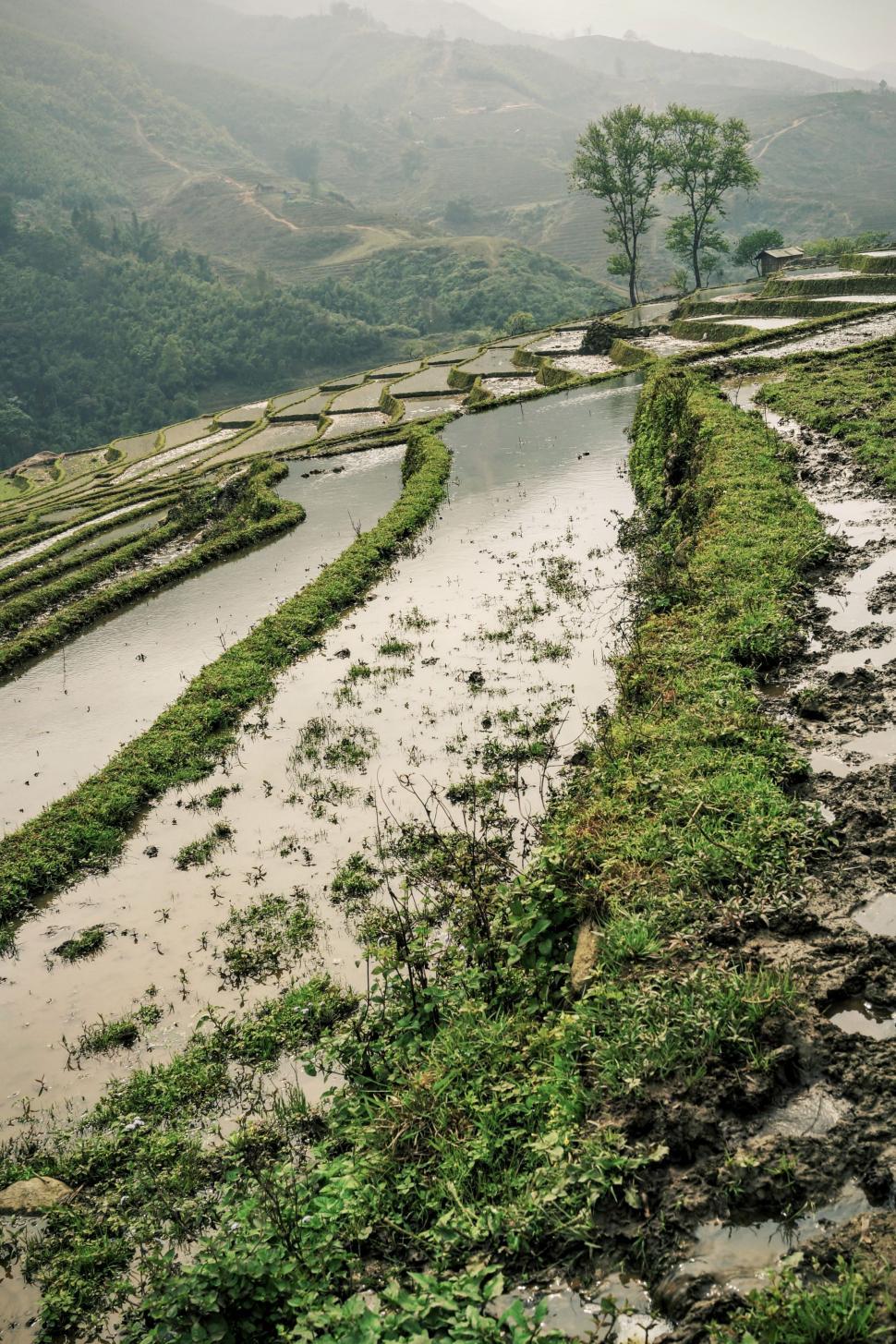 Free Image of A River Flowing Through Lush Green Countryside 
