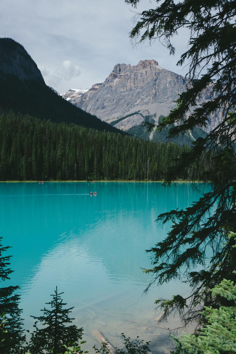 Free Image of Large Body of Water Surrounded by Trees 