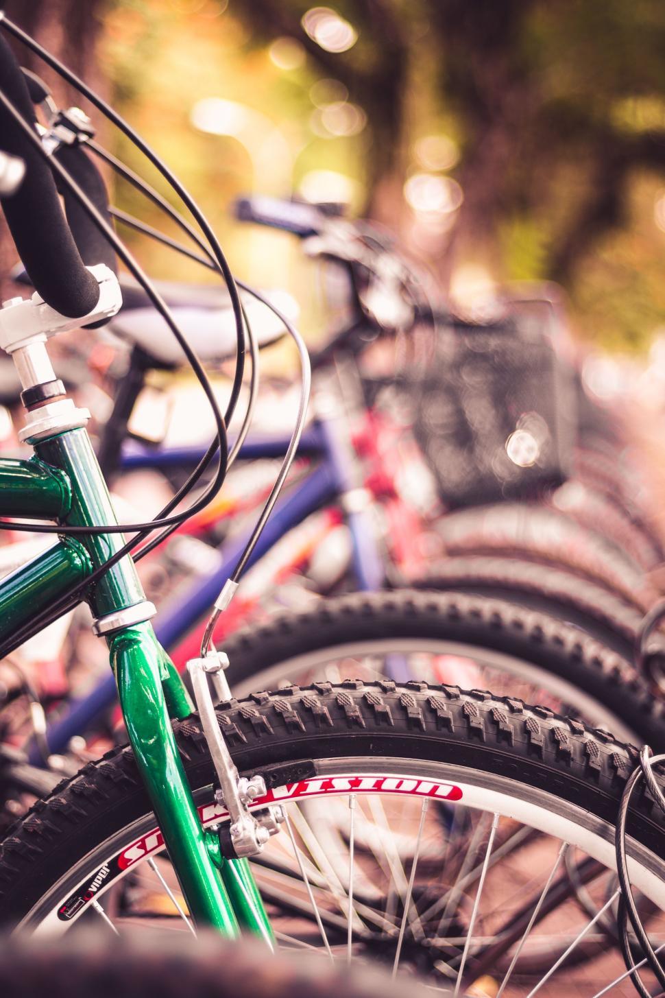 Free Image of Row of Parked Bicycles 