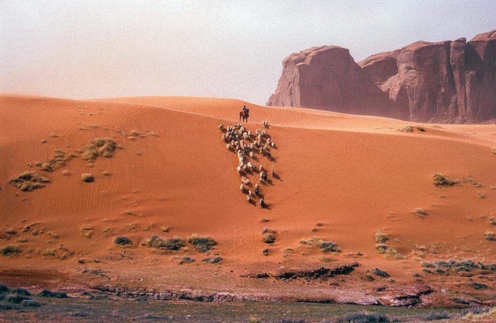 Free Image of Native American Cowboy 