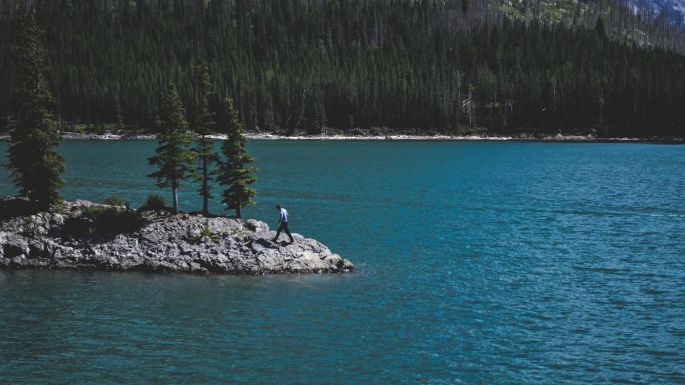 Free Image of Bird Standing on Small Island in Lake 