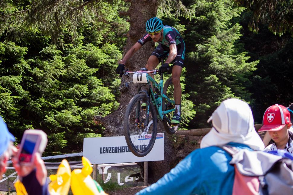 Free Image of Man Riding Bike Up Tree 