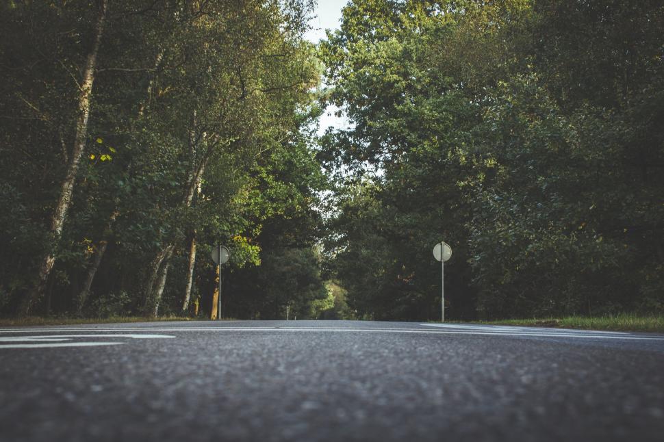 Free Image of Urban Street With Trees and Street Sign 