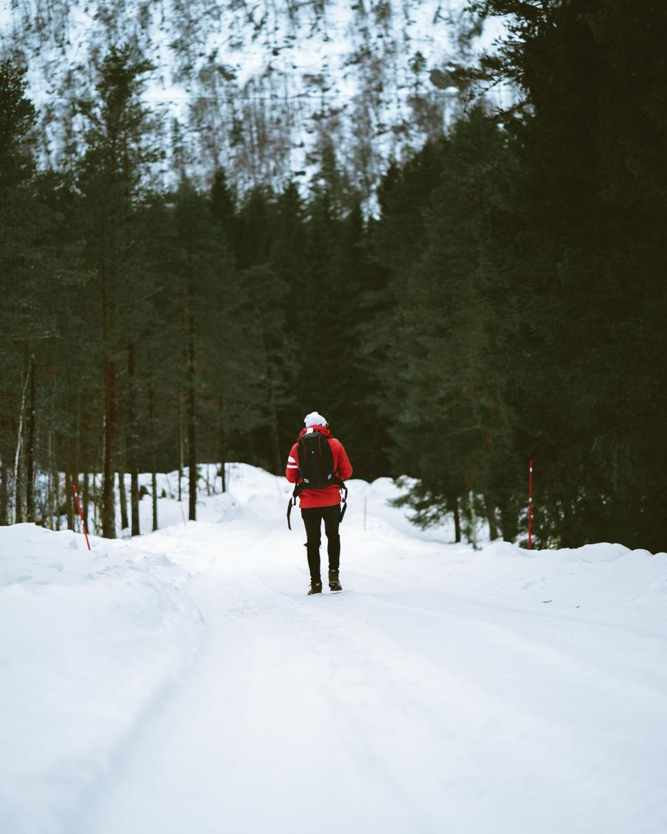 Free Image of Person Skiing in the Snow 