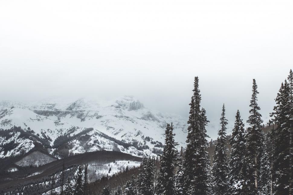 Free Image of Snowboarder Riding Downhill in Snow 