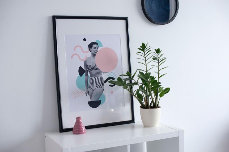 Free Image of White Shelf With Potted Plant 