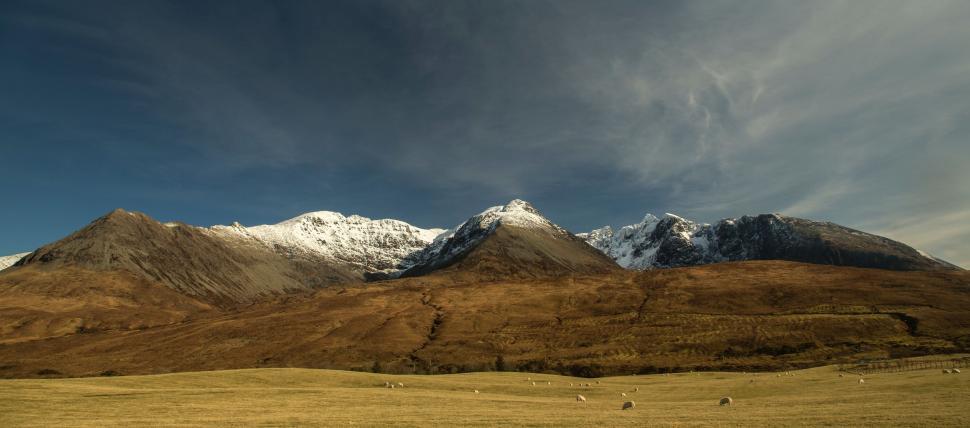 Free Image of Field With Mountain in Background 