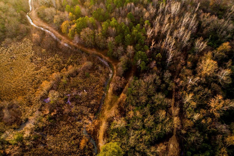 Free Image of Birds Eye View of Forest With River 