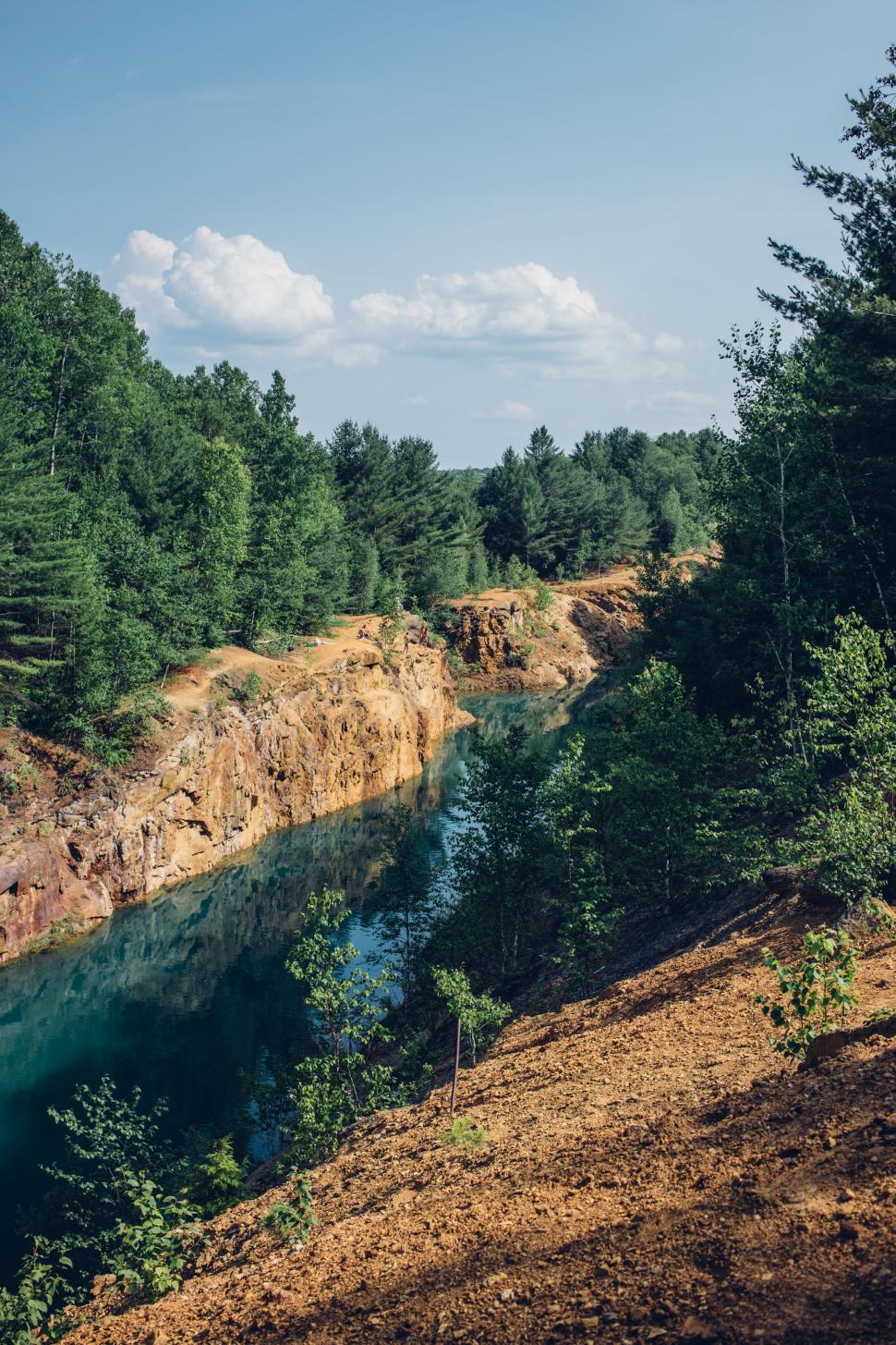 Free Image of River Flowing Through Lush Green Forest 