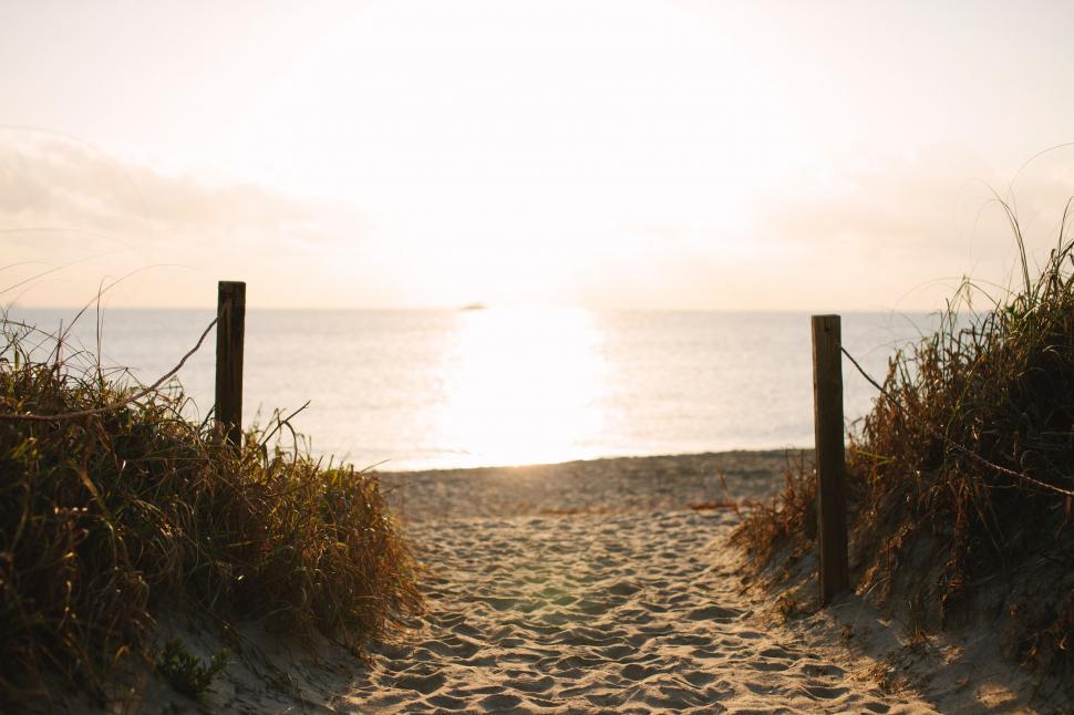 Free Image of Path Leading to Beach and Ocean 
