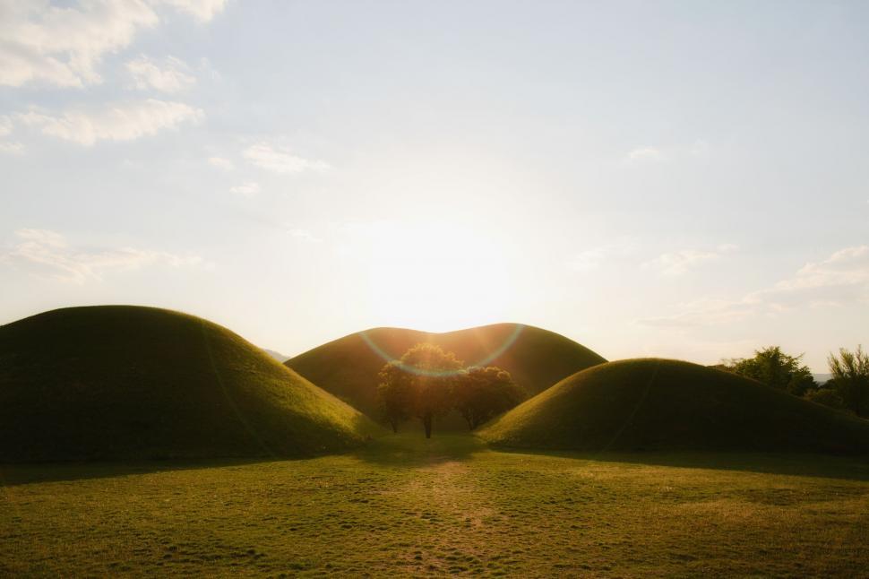 Free Image of Group of Dirt Mounds in Field 