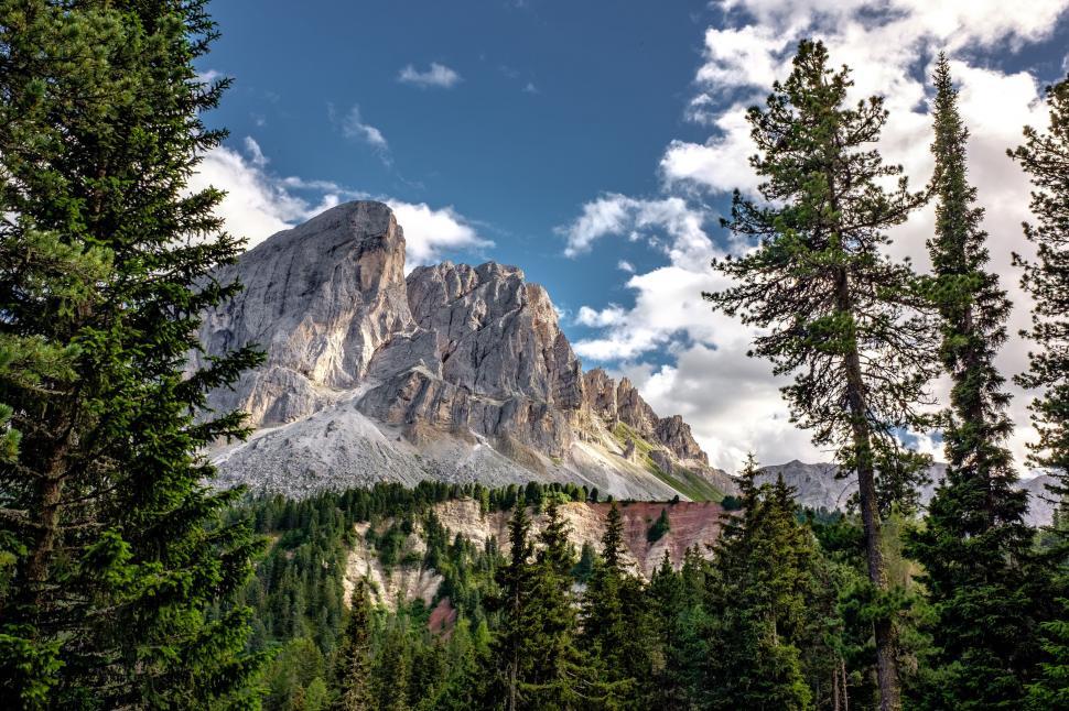 Free Image of Mountain Peak Seen Through Trees 