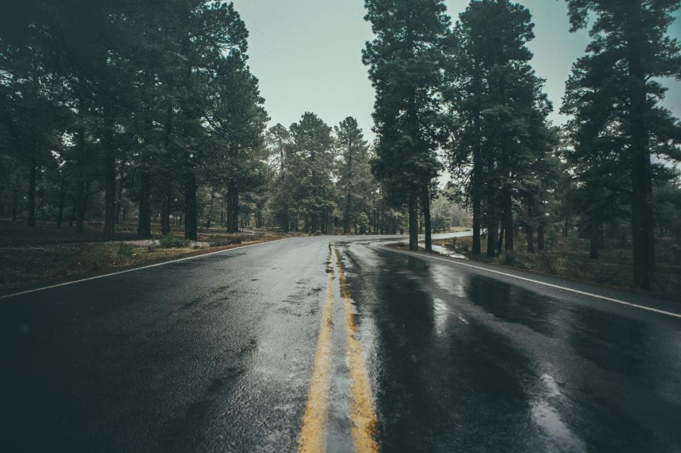 Free Image of Wet Road in Black and White 