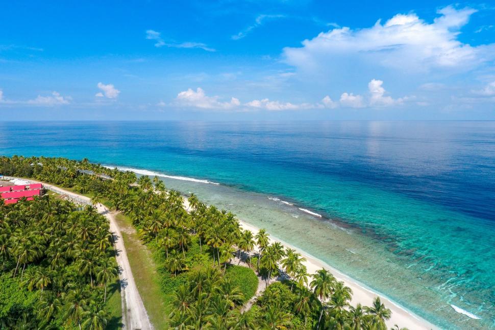 Free Image of Aerial View of Tropical Island With Palm Trees 