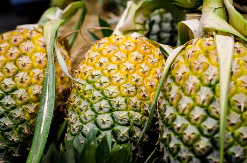 Free Image of Three Pineapple  
