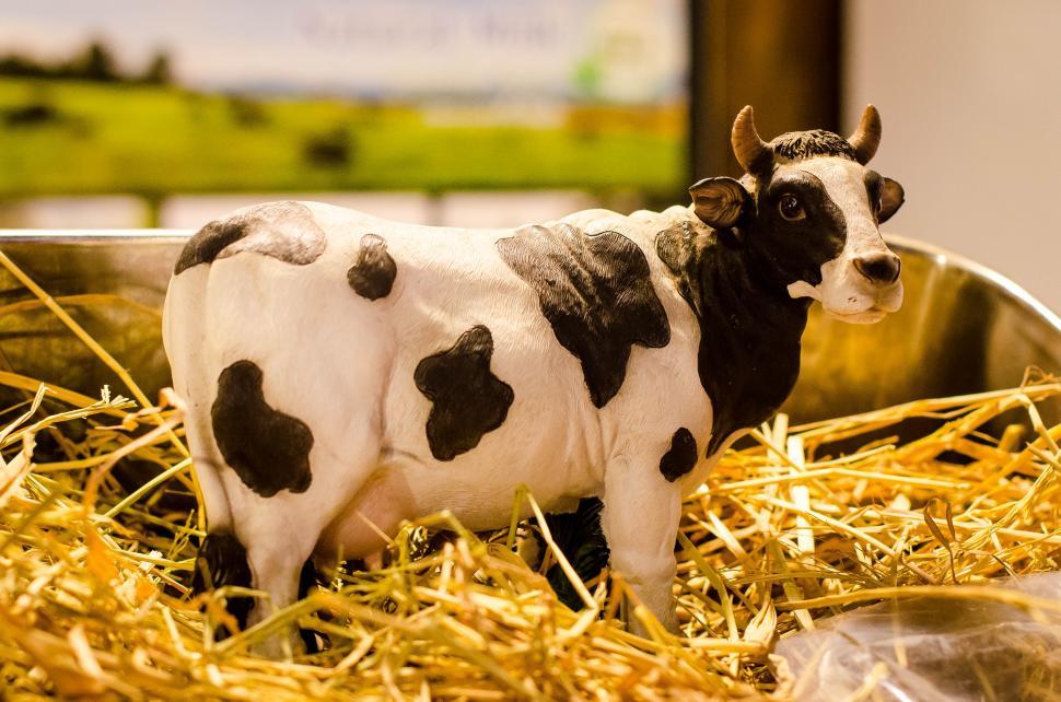 Free Image of Cow sculpture  