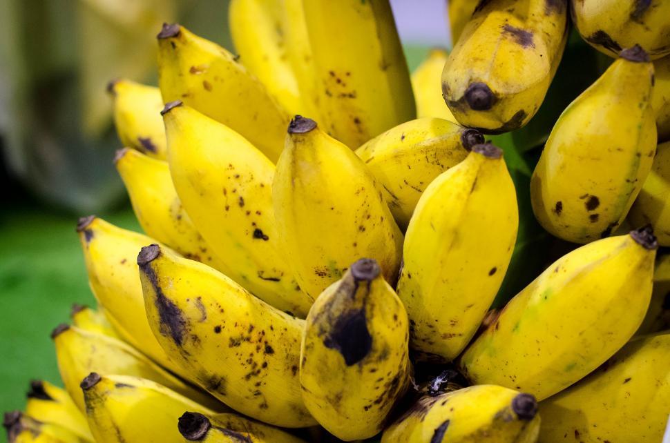 Free Image of Thai banana  