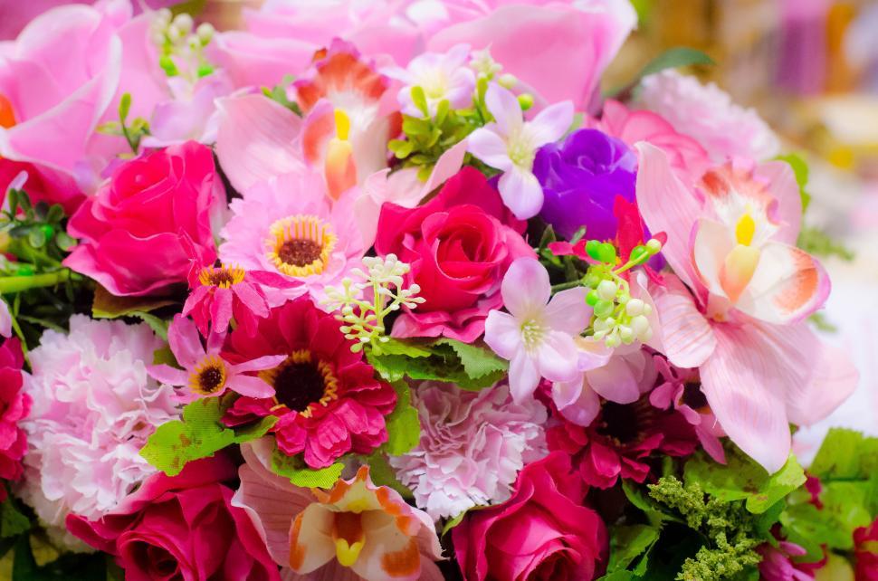 Free Image of Colorful Flower arrangement 