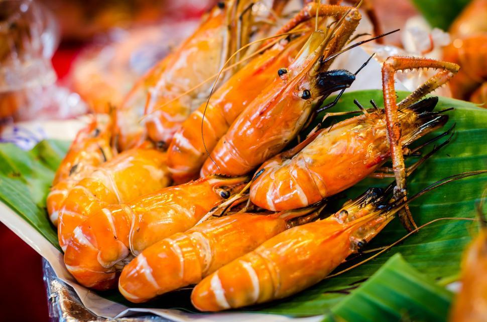 Free Image of Shrimp  