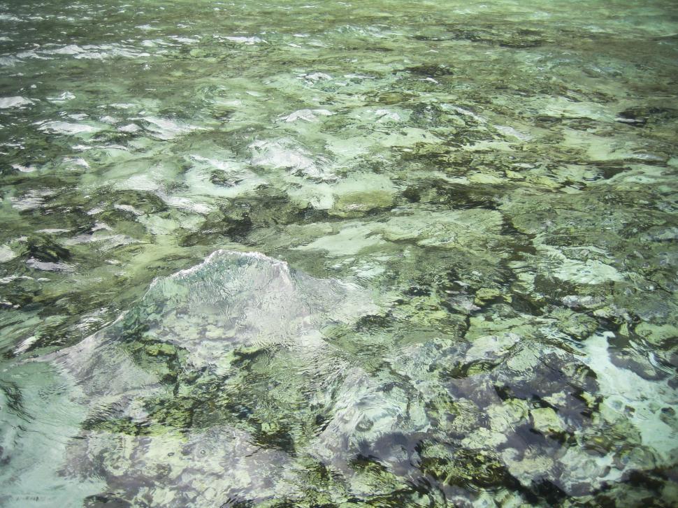 Free Image of shallow river 