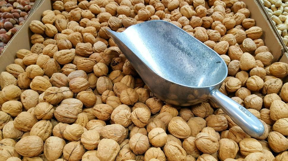 Free Image of Walnuts In Shells 