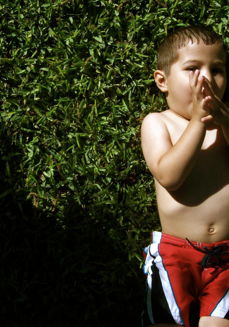 Free Image of Young Boy Standing in Front of Bush 